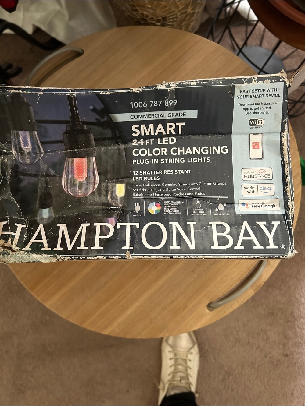 Hampton Bay Smart 24 ft LED Color Changing Plug-In String Lights - Black